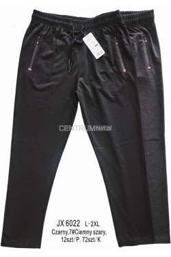 Spodnie dresowe męskie (L-2XL) JX6022