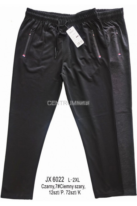 Spodnie dresowe męskie (M-2XL) 1
