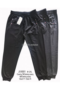 Spodnie dresowe męskie (M-2XL) JX6001