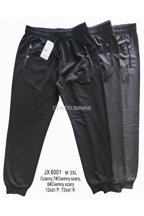 Spodnie dresowe męskie (M-2XL) 1