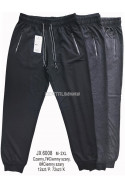 Spodnie dresowe męskie (M-2XL) 1