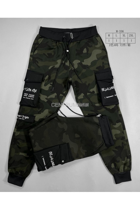 Spodnie dresowe męskie (M-2XL) 1
