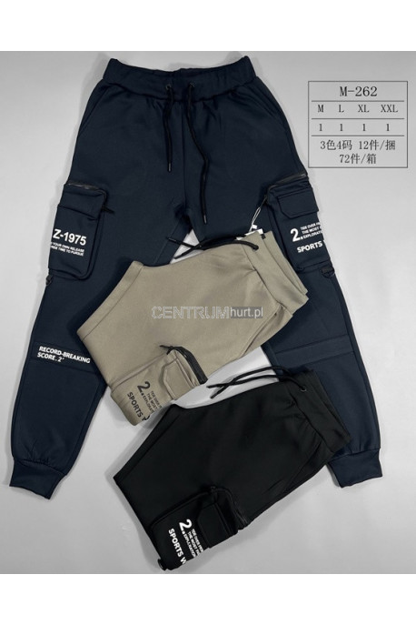 Spodnie dresowe męskie (M-2XL) 1
