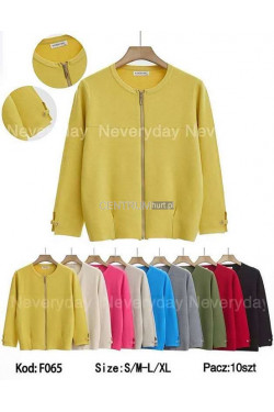 Sweter damski (S/M-L/XL) F065