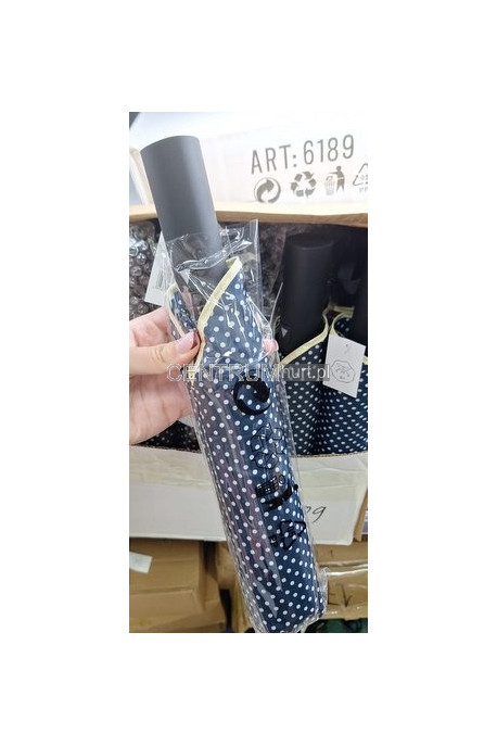 Parasol 050902
