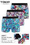 Majtki damskie (M-2XL) 2529-C