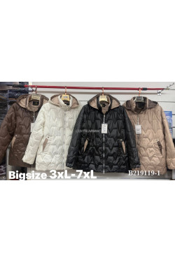 Kurtka przejściowa kolor do wyboru(3XL-7XL) B219119-1
