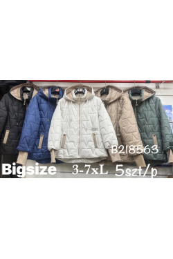 Kurtka przejściowa kolor do wybor (3XL-7XL) B218563