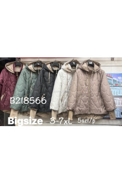 Kurtka przejściowa kolor do wybor (3XL-7XL) B218566