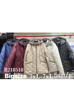Kurtka przejściowa kolor do wyboru (3XL-7XL) B218518