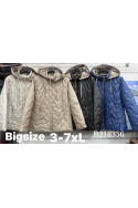 Kurtka zimowa damska (3XL-7XL) B218518