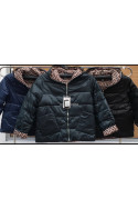 Kurtki przejściowe KOLOR DO WYBORU (3XL-7XL) 7954