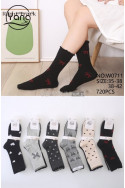 Skarpety damskie (35-42) AC-6