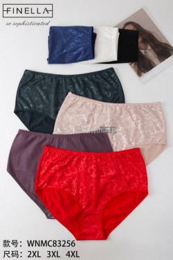 Majtki damskie (2XL-4XL) 83256