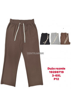Spodnie damskie (3XL-6XL) 19269719