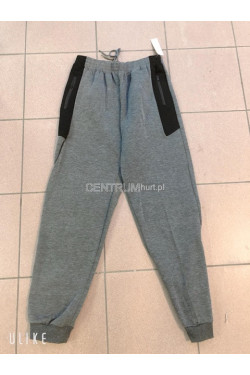 Spodnie dresowe męskie (L-5XL) 0812