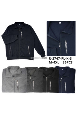 Bluza męska (M-4XL) R-2747