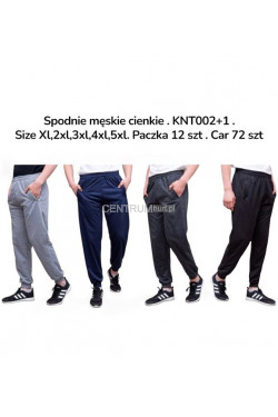 Spodnie męskie cienkie (XL-5XL) KTN002