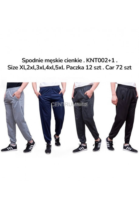 Spodnie męskie cienkie (XL-5XL) KTN002