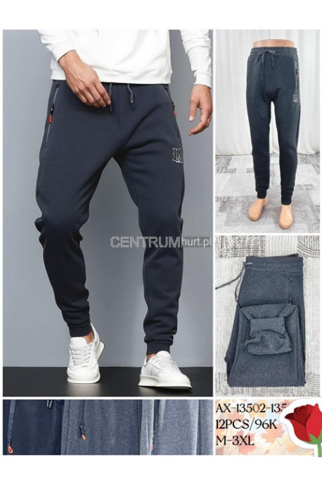 Spodnie męskie ocieplane (M-3XL) 13504