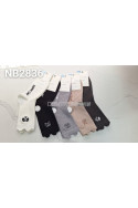 Skarpety damskie AURA.VIA (35-41) NZX2823