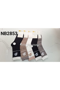 Skarpety damskie THERMO AURA.VIA (35-41) NB2853