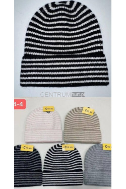 Czapki damskie Jesień Zima 6