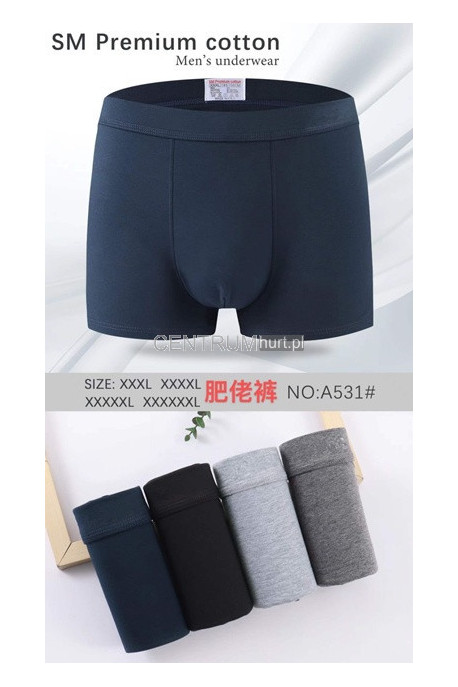 Bokserki męskie (M-3XL) DH4504