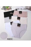Majtki damskie (XL-3XL) 38297
