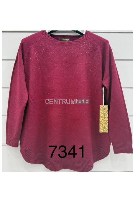 Sweter DUŻY LES PARIES 7306