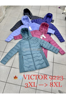 Kurtki damskie przejściowe (3XL-8XL) 9223
