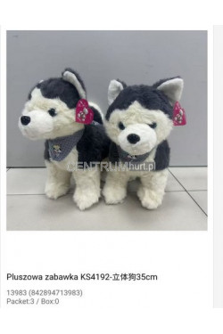 Maskotka HUSKY