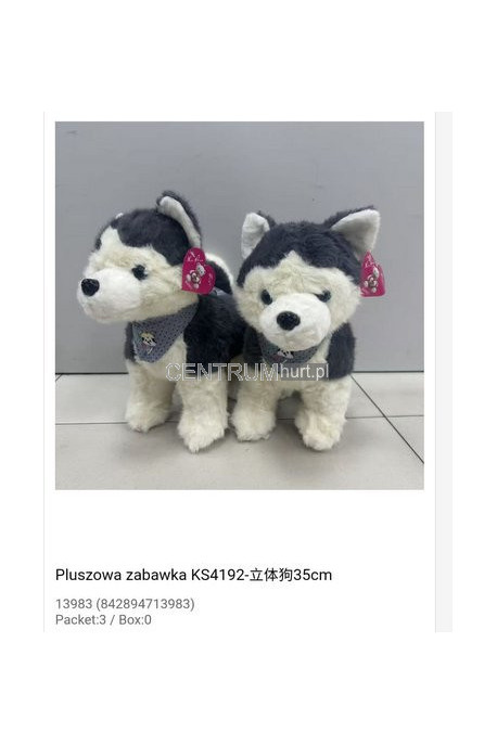 Maskotka KAPIBARKI W KOLE