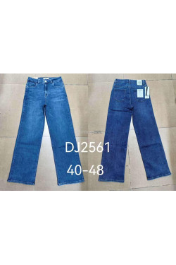 Jeansy damskie (40-48) DJ2561