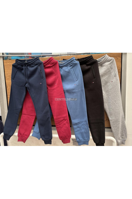 Spodnie dresowe męskie (M-2XL) 1