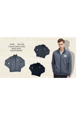 Bluza męska (2XL-5XL) B165