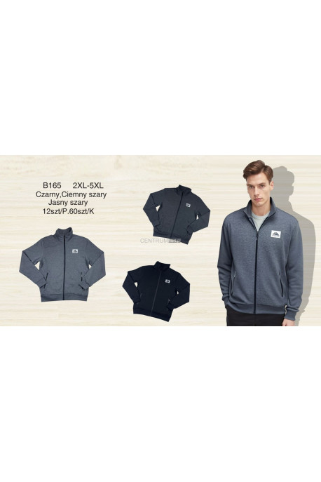 Bluza męska (2XL-5XL) 1