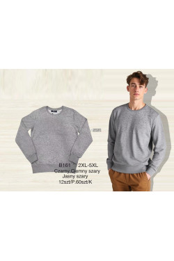 Bluza męska (2XL-5XL) B161