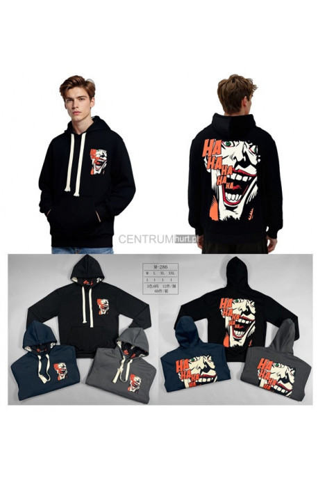 Bluza męska (M-2XL) 1