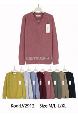 Sweter damski (M-XL) LV2912