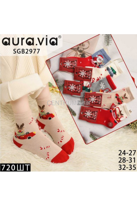 Skarpetki MŁODZIEŻOWE AURA VIA (24-35) SGB2978