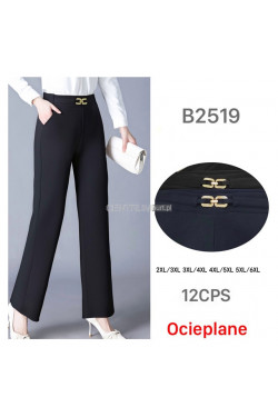 Spodnie damskie ocieplane (2XL-6XL) 1