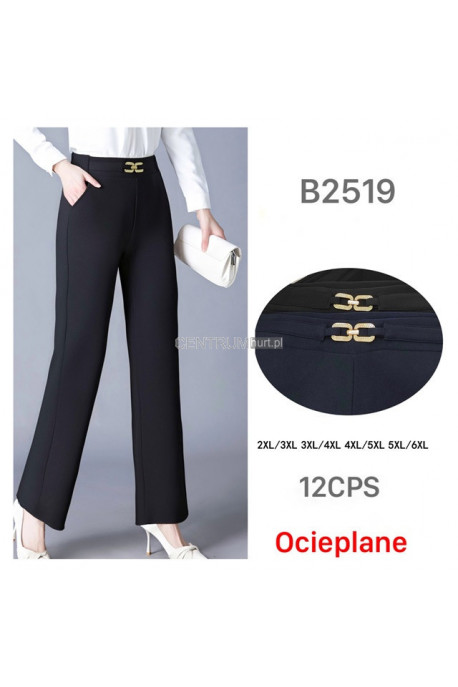 Spodnie damskie ocieplane (2XL-6XL) 1