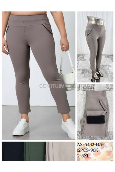 Spodnie damskie ocieplane (2XL-6XL) 1