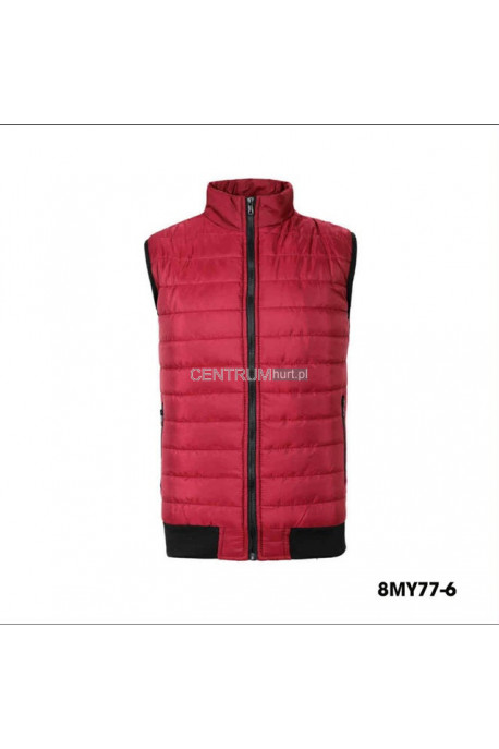 Kurtki kamizelki męskie (M-2XL) 1