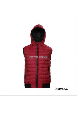 Kurtki kamizelki męskie (M-2XL) 8MY88-6