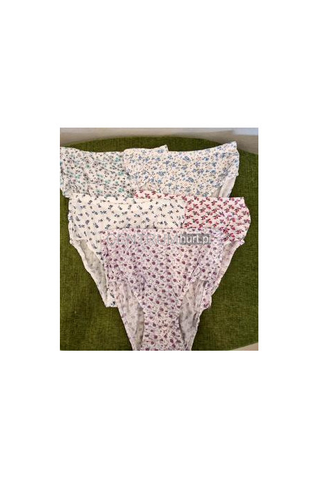 Majtki damskie (XL-3XL) 251