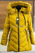 Kurtki damskie zimowe (M-2XL) 1
