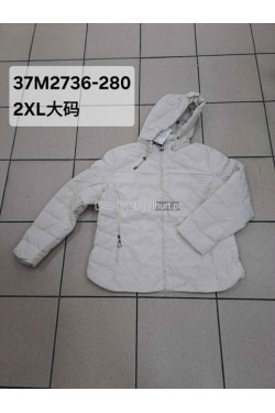 Kurtka damska zimowa (2XL-6XL) 2736-280