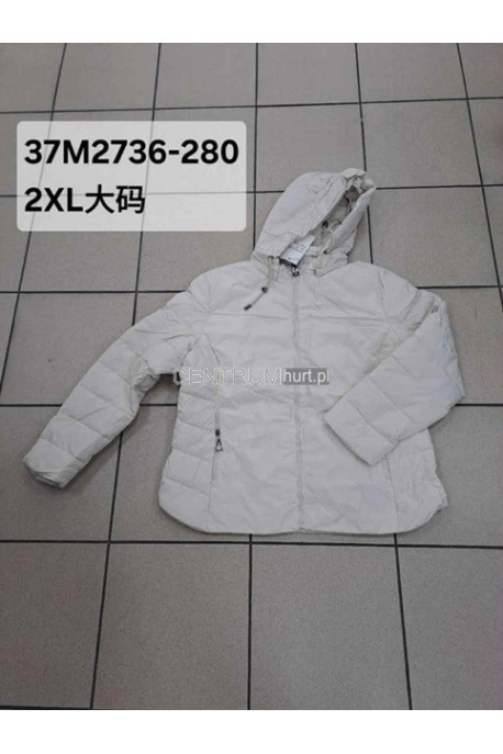 Kurtka damska zimowa (2XL-6XL) 1
